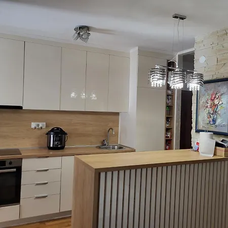 Div Center Apartment Budva